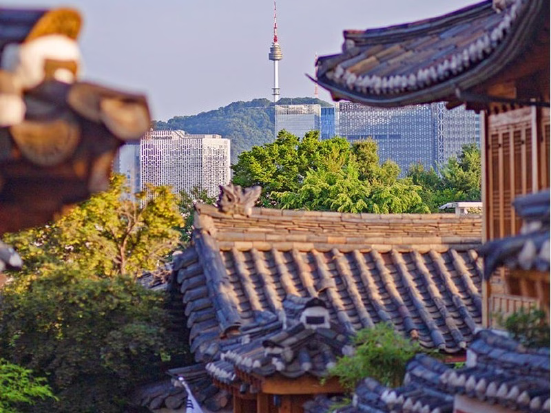 Bukchon Hanok Village & N Seoul Tower