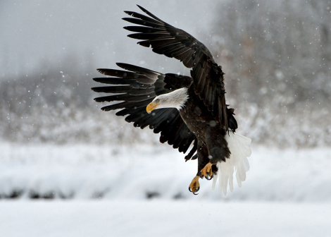 Spiritual Vision | Spirit of Wisdom & Revelation