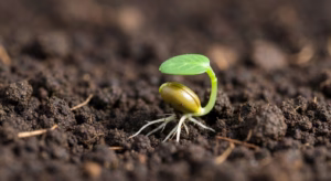 Prevenient Grace: Why God Moves First in Your Child's Life